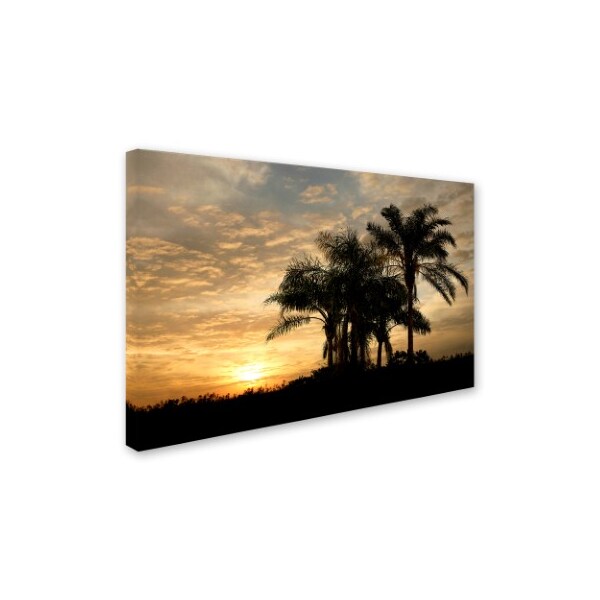 Mike Jones Photo 'Sunrise Experinemt' Canvas Art,22x32